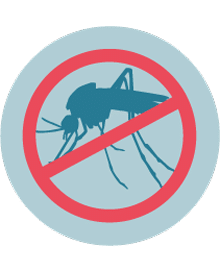 Mosquito Control